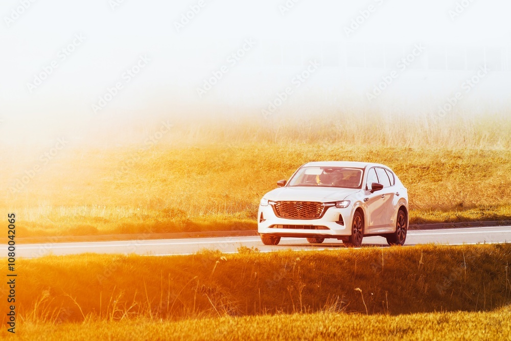 Fototapeta premium Modern Family Car Driving on Country Road