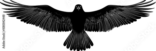 Modern handcrafted pigeon or rock dove bird silhouette.