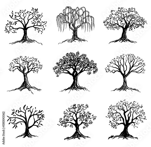 COLOR STYLE BAYAN TREE SET