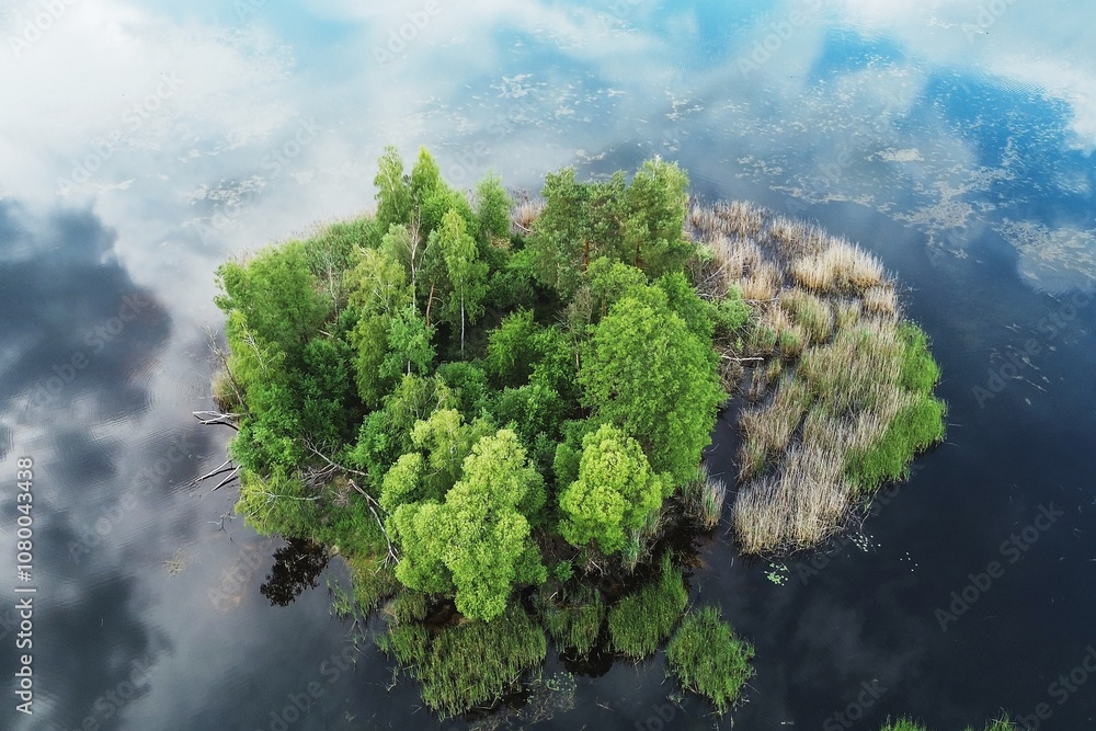 Lake with tree island and sky reflecting water surface Lake with tree island and sky reflecting water surface