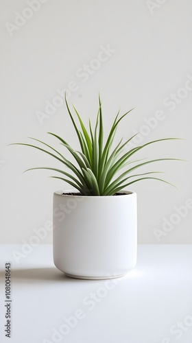 A sleek white ceramic pot with an air plant, in a simple and elegant style, against a clean background. The focus is on the texture of the material and the minimalist design of the planter