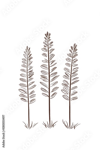 Three pine trees drawn in simple lines, set against a white background, with room for text below.