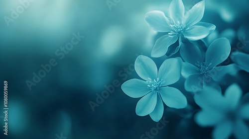 Cool teal gradient with smooth transitions for minimalist backgrounds