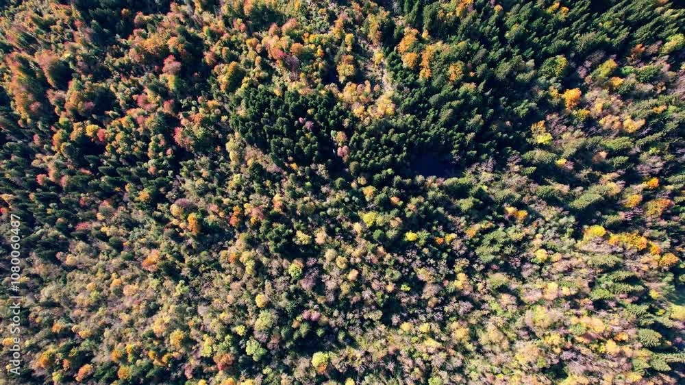 Panoramic view of a mountainous forest stretching as far as the eye can see, with lush trees covering the deep valleys and steep mountain slopes Panoramic view of a mountainous forest stretching as far as the eye can see, with lush trees covering the deep valleys and steep mountain slopes