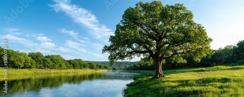 Lush green tree beside a calm river under a clear blue sky, serene nature landscape.