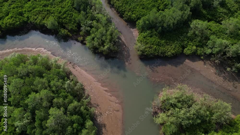 top down view of a river crossing in the middle of the forest top down view of a river crossing in the middle of the forest