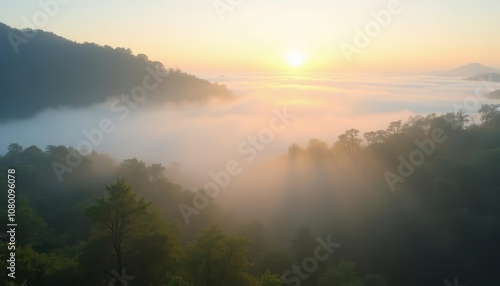  Ethereal sunrise over misty forest