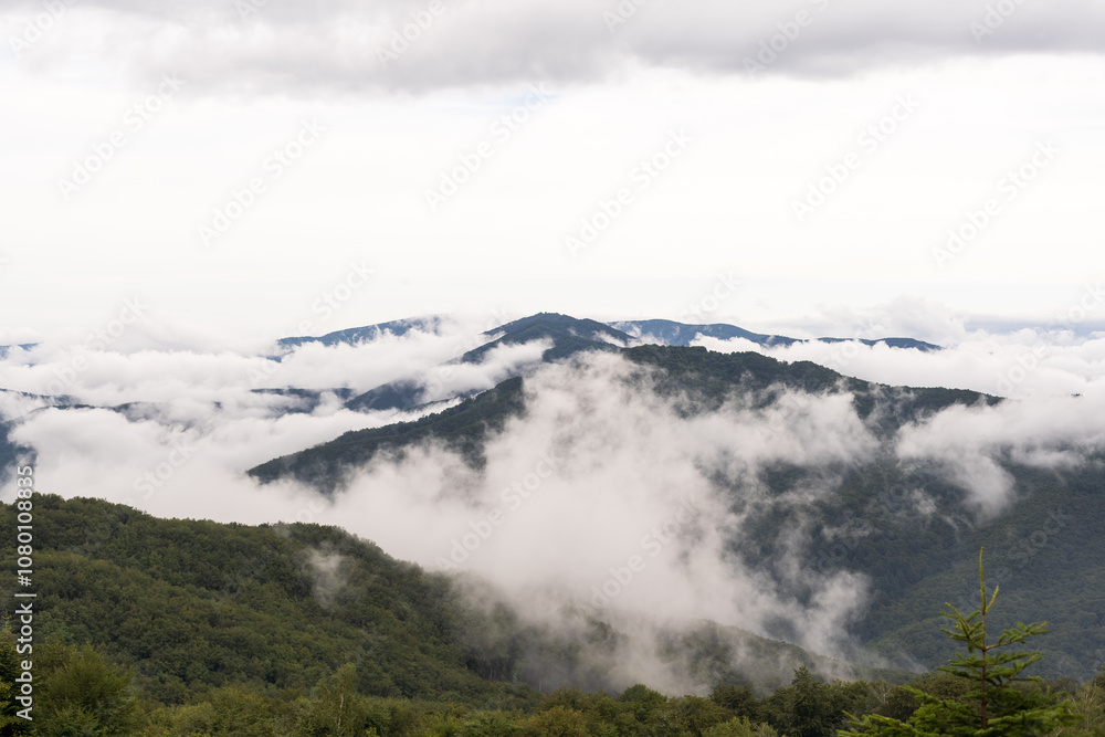 Mountain path on hill in summer landscape Mountain path on hill in summer landscape