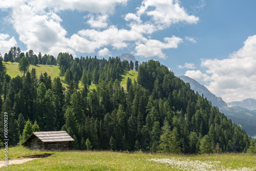 Mountain landscape with wooden house in the Dolomites, Italy