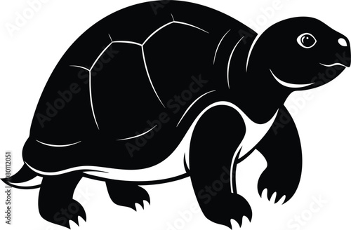 Solid color Gopher Tortoise animal vector design