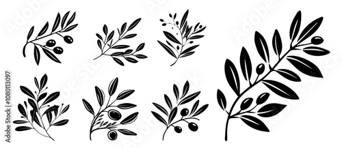 elegant olive branches with leaves and olives in sketch style