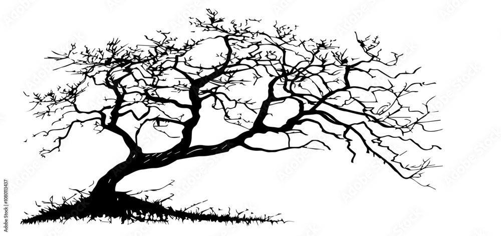 Fototapeta premium detailed silhouette of a barren tree with twisted branches – black vector