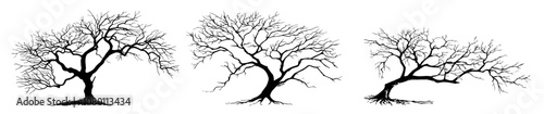 leafless tree illustration with sprawling branches – black vector