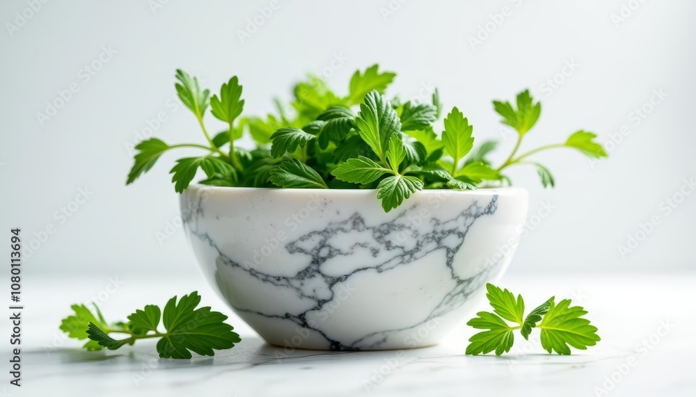 Fresh and vibrant A touch of nature in a marble bowl Fresh and vibrant A touch of nature in a marble bowl