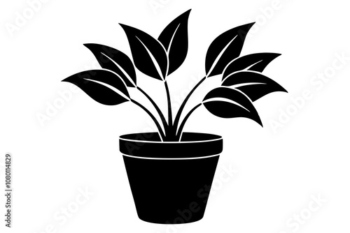 house plant silhouette vector illustration.