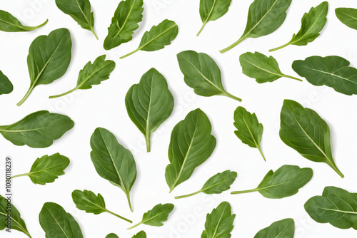 Fresh green leaves arranged on white background