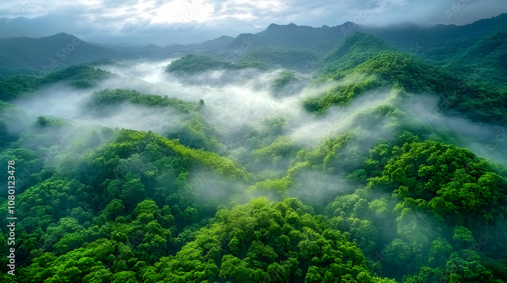 Misty Mountain Forest - Aerial View Misty Mountain Forest - Aerial View