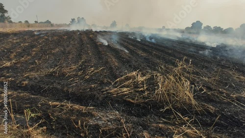 Strong fire of empty fielf smokey fire photo