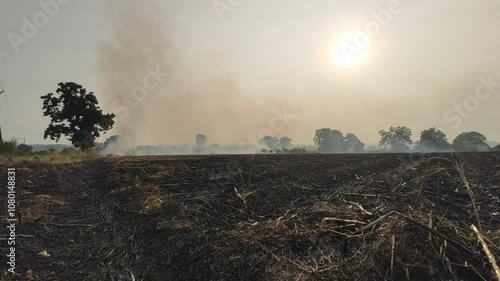 Strong fire of empty fielf smokey fire photo