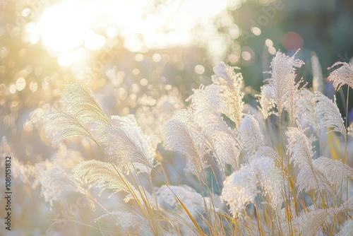 Soft sunlight illuminating delicate grass in serene landscape, creating dreamy atmosphere