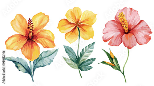 Bright tropical flowers isolated on white background. Botanical painting, watercolor illustrations yellow flower branch