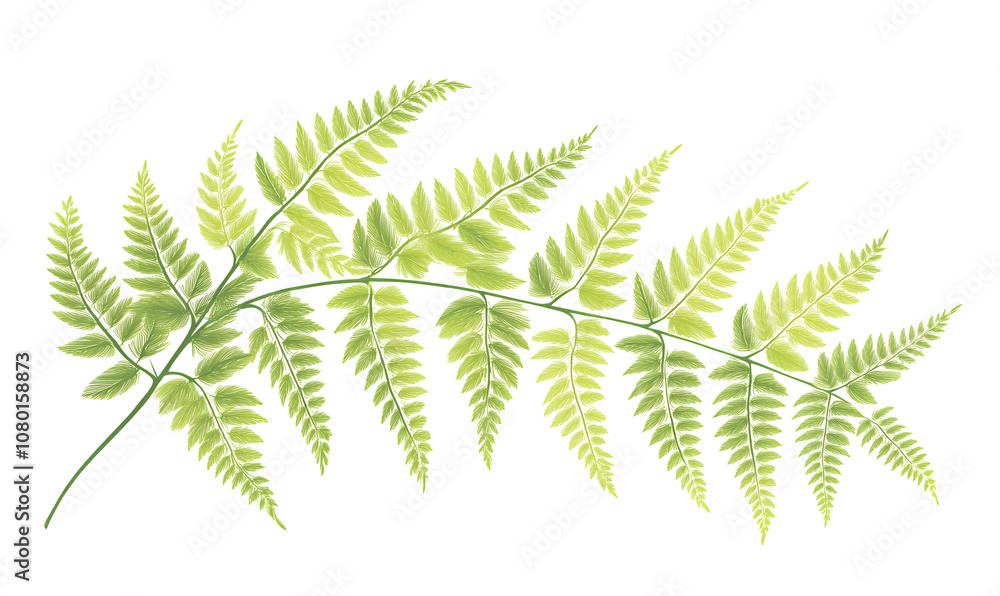 modern 2D doodle cartoon flower and leaf concept with open space for text, featuring whimsical floral and leafy elements on crisp white backgrounds. modern 2D doodle cartoon flower and leaf concept with open space for text, featuring whimsical floral and leafy elements on crisp white backgrounds.
