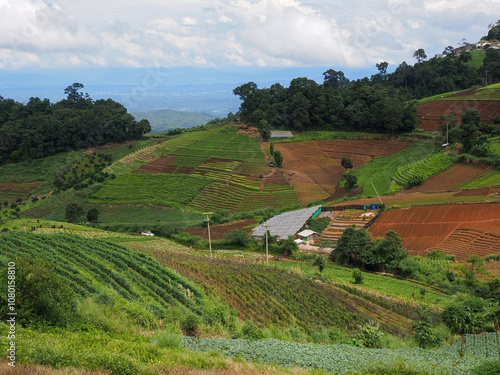 Beautiful landscape view of rice terrace and small house photo