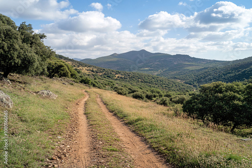 A scenic dirt path winding through grassy hills and green trees in a countryside landscape under a blue sky with clouds, suggesting peaceful solitude 