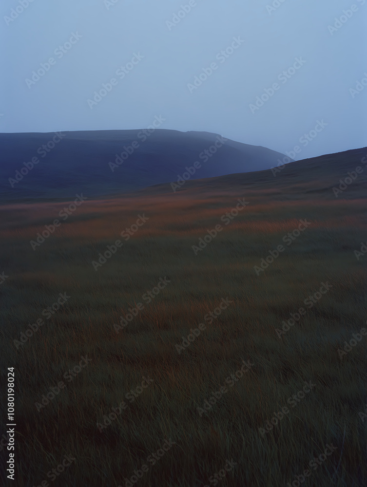 A vast, open field at twilight with long grasses swaying gently and illuminated by the last traces of daylight, surrounded by a thin veil of fog. A vast, open field at twilight with long grasses swaying gently and illuminated by the last traces of daylight, surrounded by a thin veil of fog.