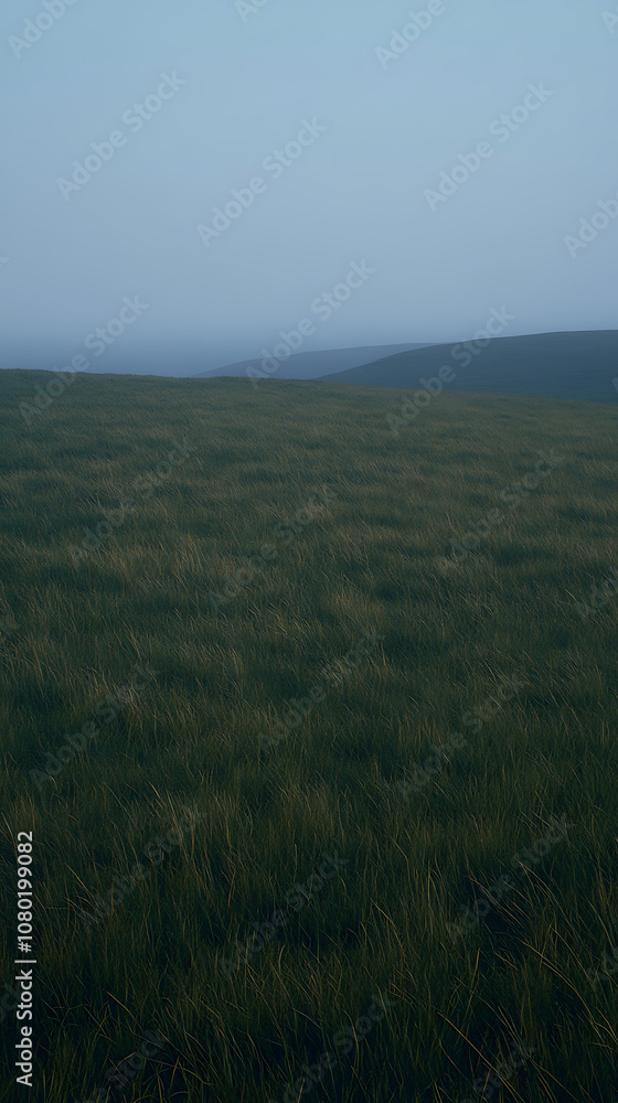 Fototapeta premium A vast, open field at twilight with long grasses swaying gently and illuminated by the last traces of daylight, surrounded by a thin veil of fog.