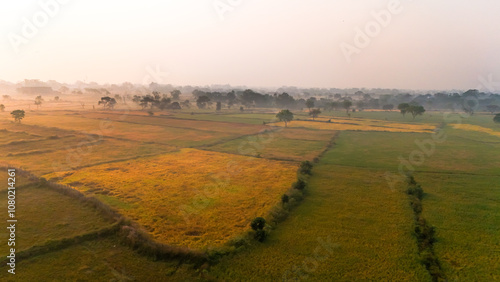 drone view of lush green fields, aerial view of village farmland, rural morning landscape from above, scenic countryside fields, morning farmland panorama, aerial shot of green agriculture stock photo