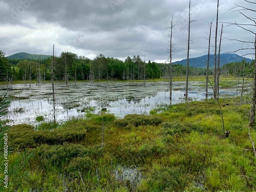 Chubb River, Adirondack State Park photo