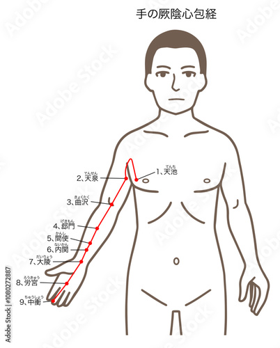 鍼灸の経穴、手の厥陰心包経、ツボのイラスト