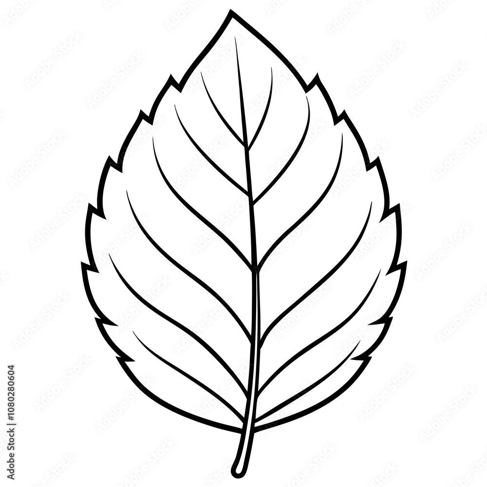 Simple Line Drawing of a Leaf Outline Isolated on White Background Simple Line Drawing of a Leaf Outline Isolated on White Background