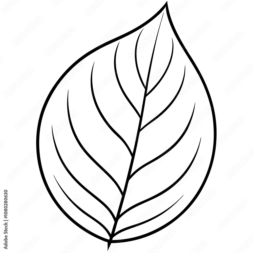 Simple Line Drawing of a Leaf Outline Isolated on White Background Simple Line Drawing of a Leaf Outline Isolated on White Background