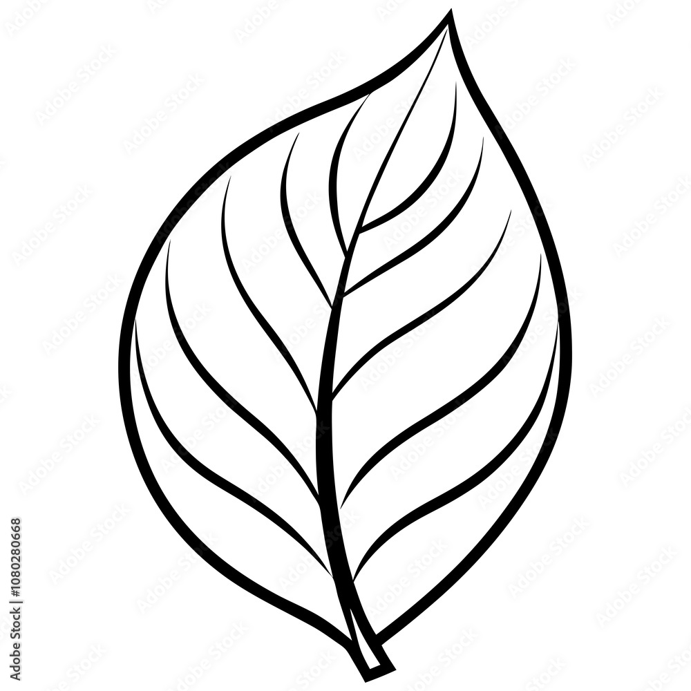Simple Line Drawing of a Leaf Outline Isolated on White Background Simple Line Drawing of a Leaf Outline Isolated on White Background