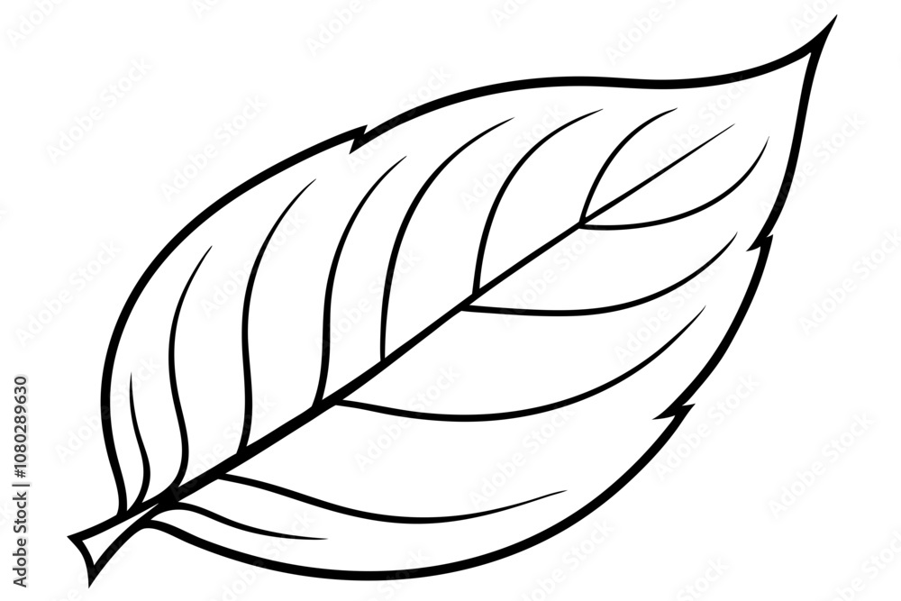 Simple Line Drawing of a Leaf Outline Isolated on White Background