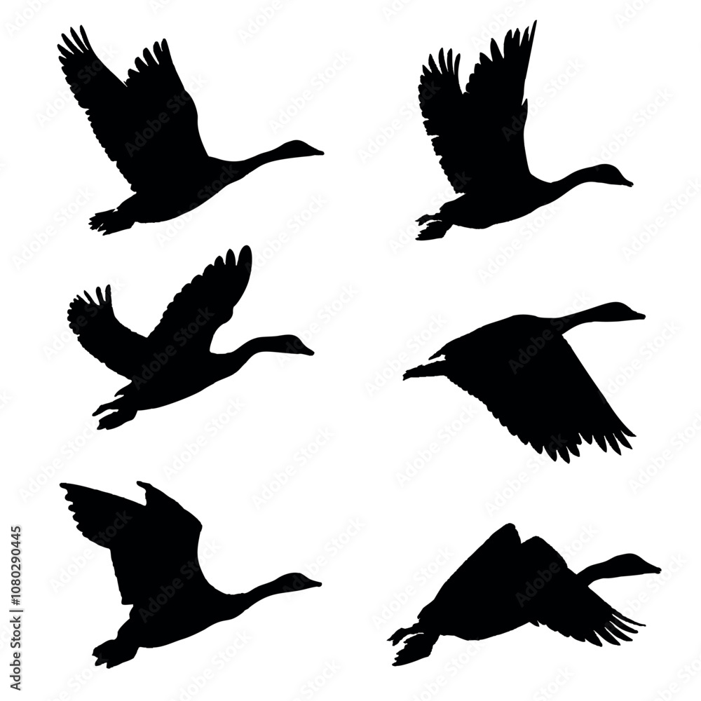 Obraz premium Silhouettes of duck birds. Silhouettes of flying ducks birds on a white background, emphasizes freedom and natural grace