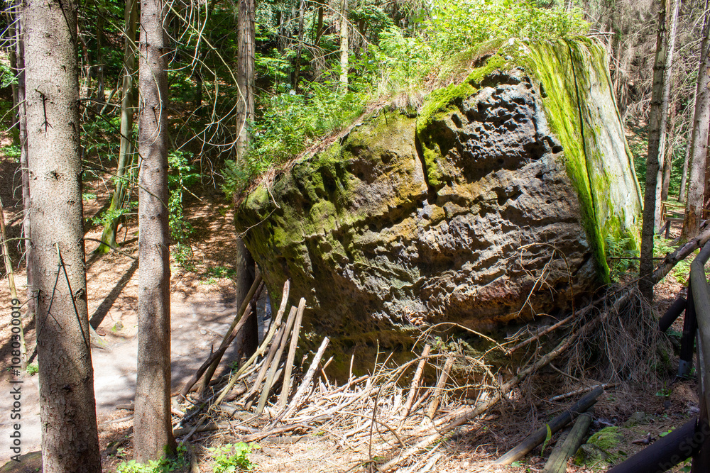 giant stones in a forest with dry trees giant stones in a forest with dry trees