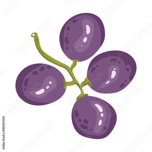 A single branch of ripe grapes. A small bunch of purple berries. Vector illustration of organic vitamin fruit juice. Eco label concept for natural grape flavor. Design of wine, juice, smoothie.