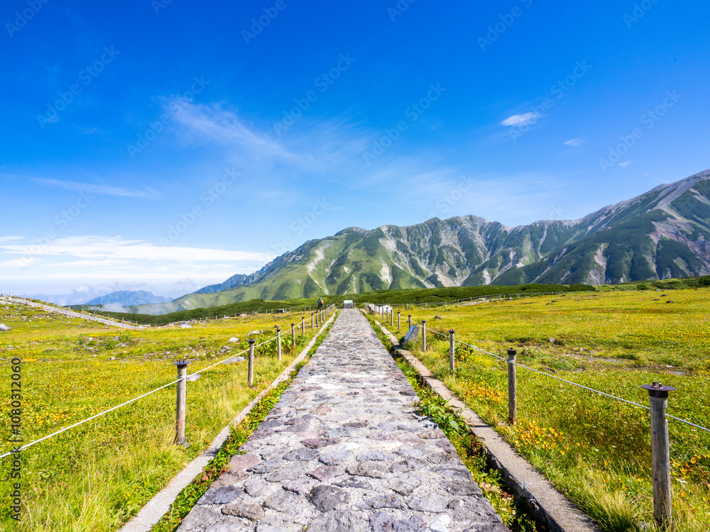 Fototapeta premium アルプスでの散歩