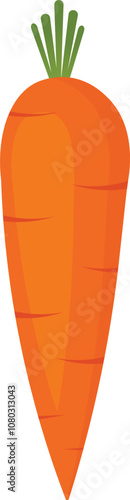 carrot illustration