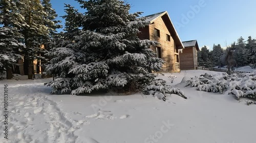 Wallpaper Mural Bursa Uludağ ski resort, wooden accommodation houses used in all seasons surrounded by pine trees in Sarıalan region Torontodigital.ca