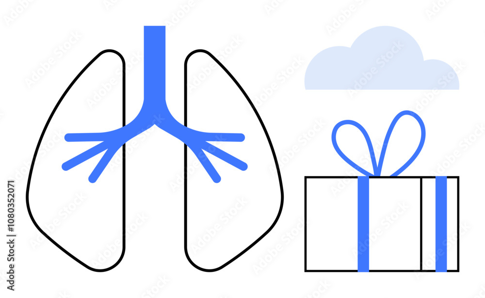 Diagram of lungs contrasted against a blue cloud and a gift box with a bow. Ideal for healthcare, organ donation, medical education, respiratory health, awareness campaigns, lung health, wellbeing Diagram of lungs contrasted against a blue cloud and a gift box with a bow. Ideal for healthcare, organ donation, medical education, respiratory health, awareness campaigns, lung health, wellbeing