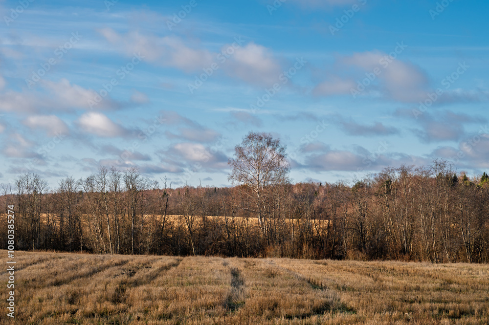 Landscape of late autumn with large meadow, far forest under the sky. Natural autumn background. Landscape of late autumn with large meadow, far forest under the sky. Natural autumn background.