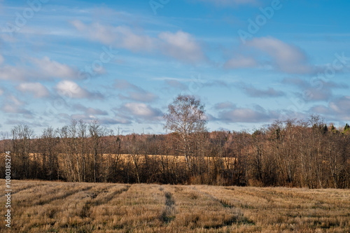 Wallpaper Mural Landscape of late autumn with large meadow, far forest under the sky. Natural autumn background. Torontodigital.ca