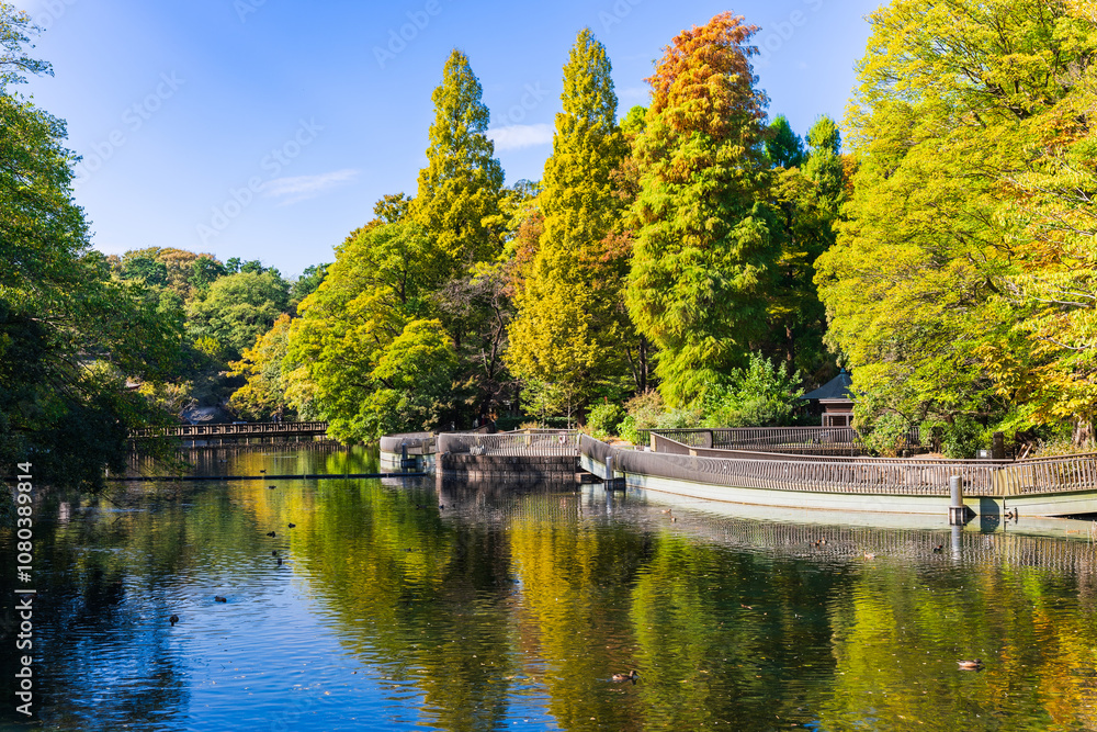 吉祥寺 秋の井の頭公園