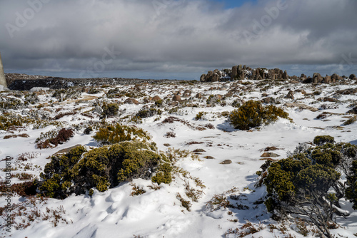 family's playing in snow on the peak of a rocky mountain in a national park looking over a city below, mt wellington hobart tasmania australia in summer. ice on the roads. roads closed