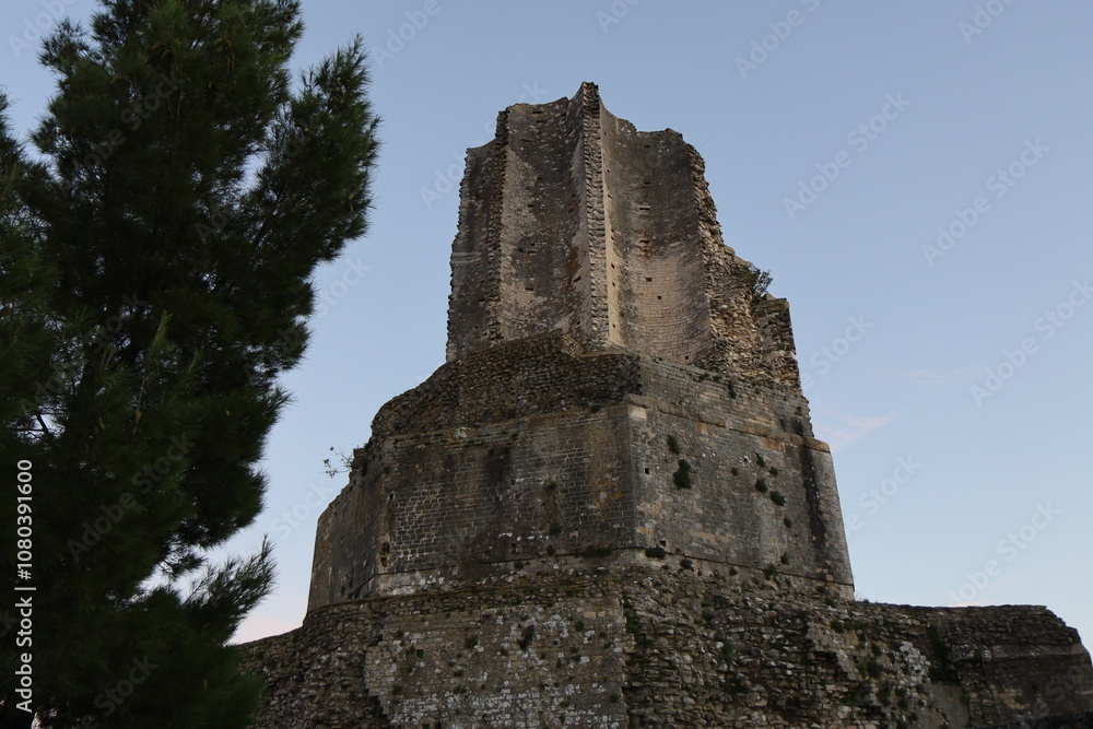 La tour Magne, ville de Nîmes, département du Gard, France La tour Magne, ville de Nîmes, département du Gard, France