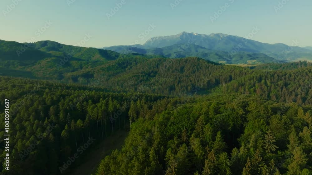 A wonderful landscape with green forests and high mountains can be seen in the shadows as if drawn. A wonderful landscape with green forests and high mountains can be seen in the shadows as if drawn.